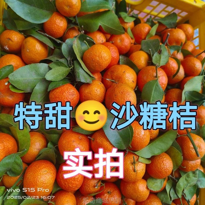 正宗广西砂糖橘新鲜水果10斤现摘当季砂糖桔整箱果园产地柑橘批发