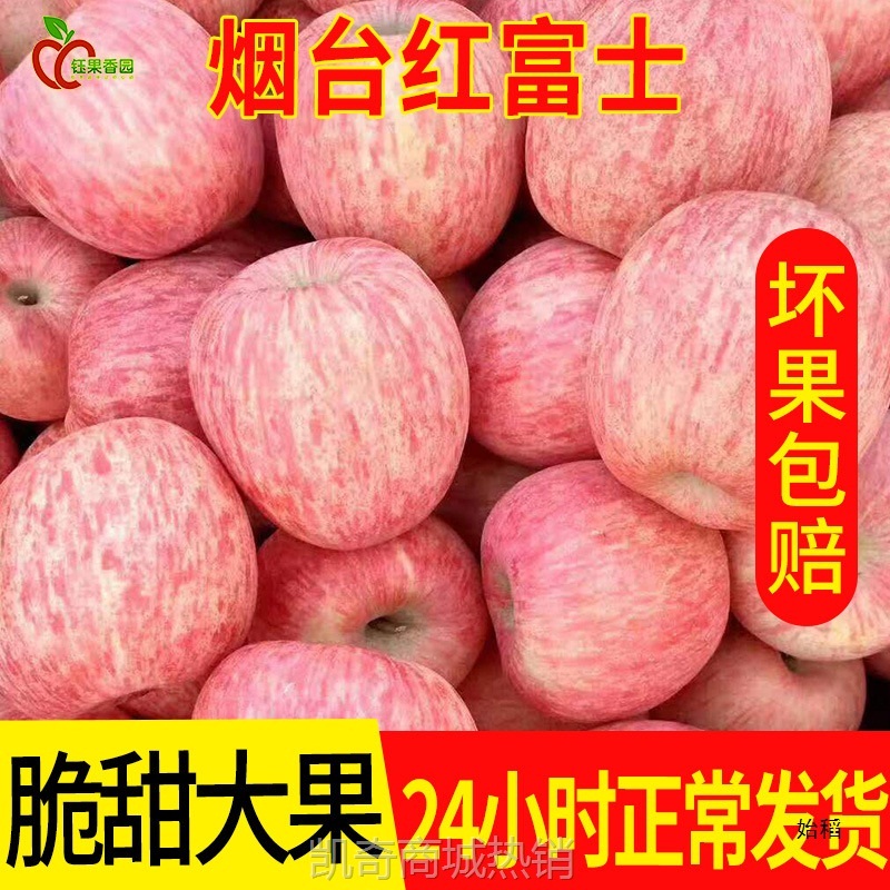 ii  山东烟台脆甜水果栖霞红富士苹果水果5斤10包邮