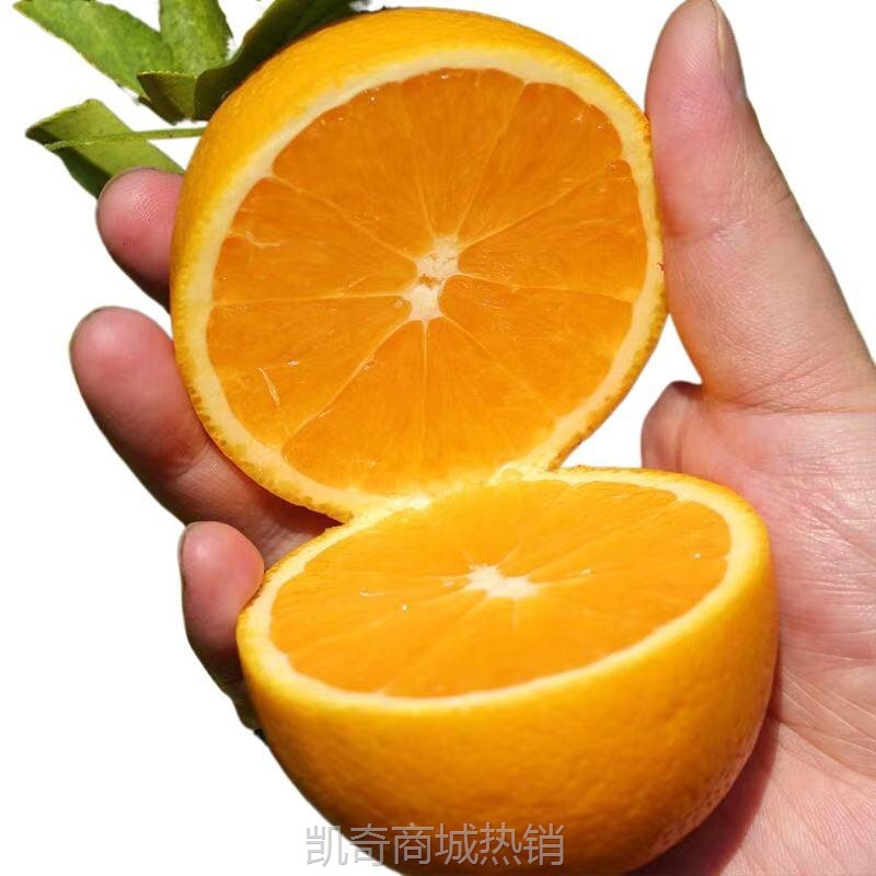 【爆甜】湖南麻阳冰糖橙当季新鲜水果超甜橙子现摘手剥甜脐橙批发