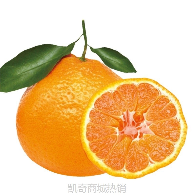 四川春见耙耙柑5斤新鲜包邮应当季孕妇水果丑柑橘整箱一件代发