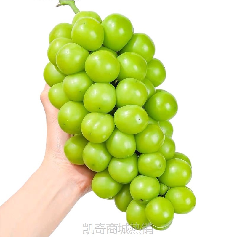 阳光玫瑰葡萄新鲜水果晴王提子青提大果整串国产整箱批发