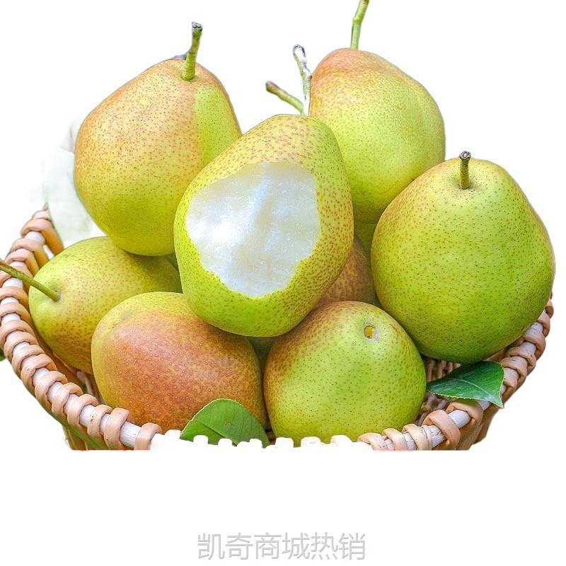 新疆库尔勒香梨香梨源自新疆新鲜水果梨子3/5/10斤脆甜青皮薄