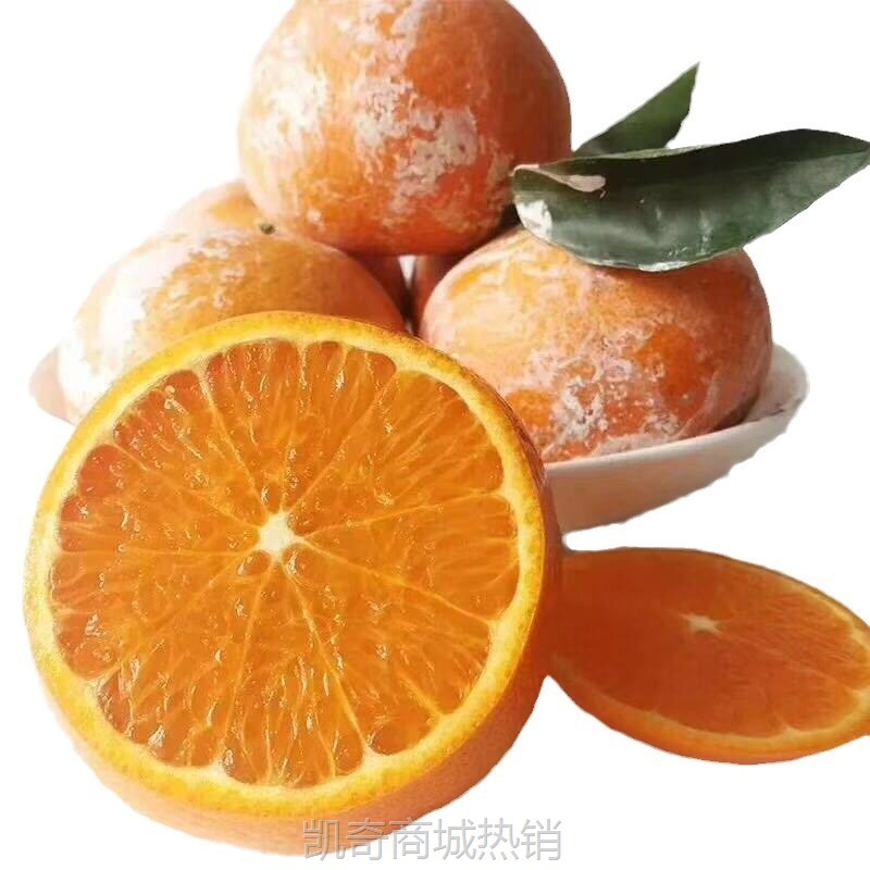 【广西武鸣茂谷柑】当季新鲜大果石灰脏脏柑橘非橙子9斤新鲜水果