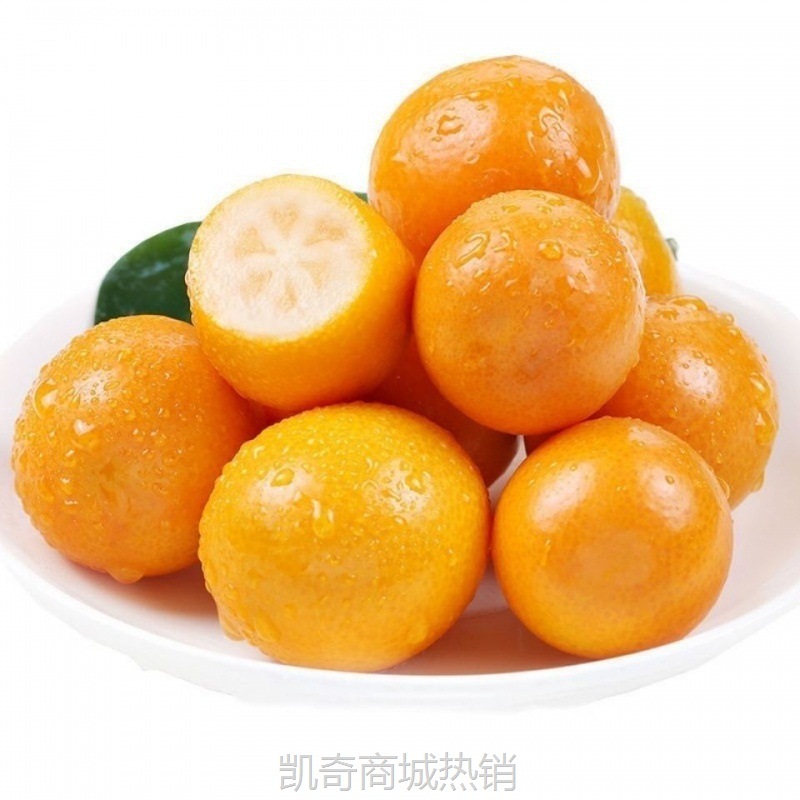 桂林金桔新鲜水果油皮非滑皮金桔青桔水果金橘桔脆蜜金柑工厂