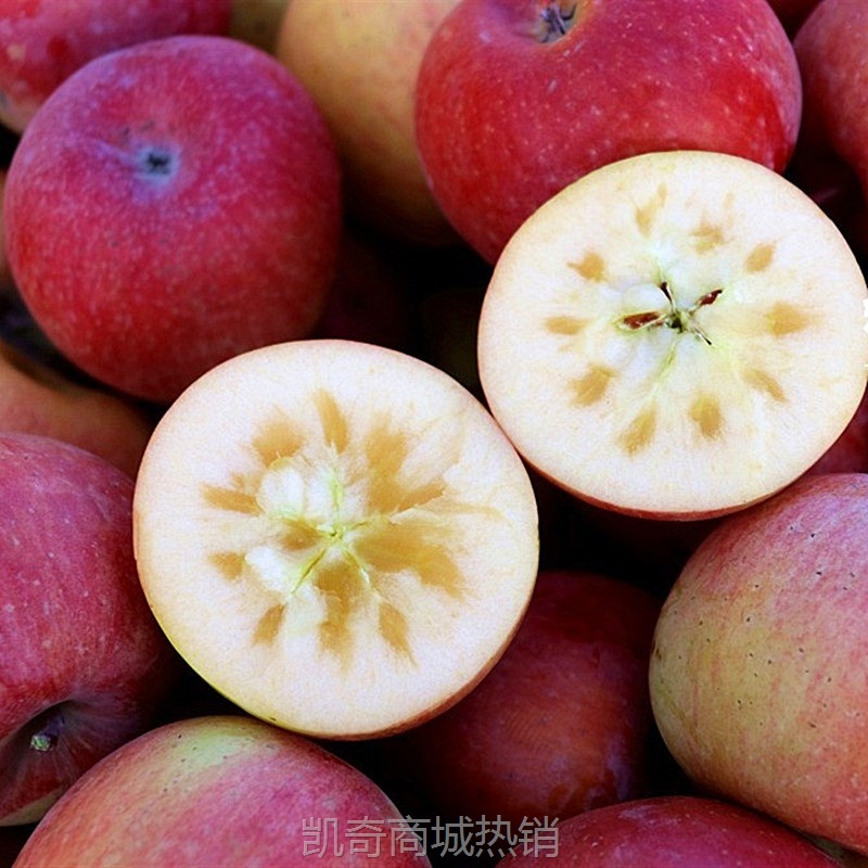 新疆阿克苏糖心苹果5斤/8斤 新鲜水果红富士