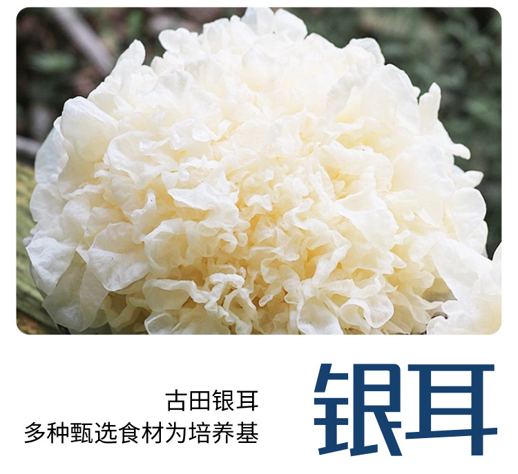 厚椰乳单盒1_09.jpg