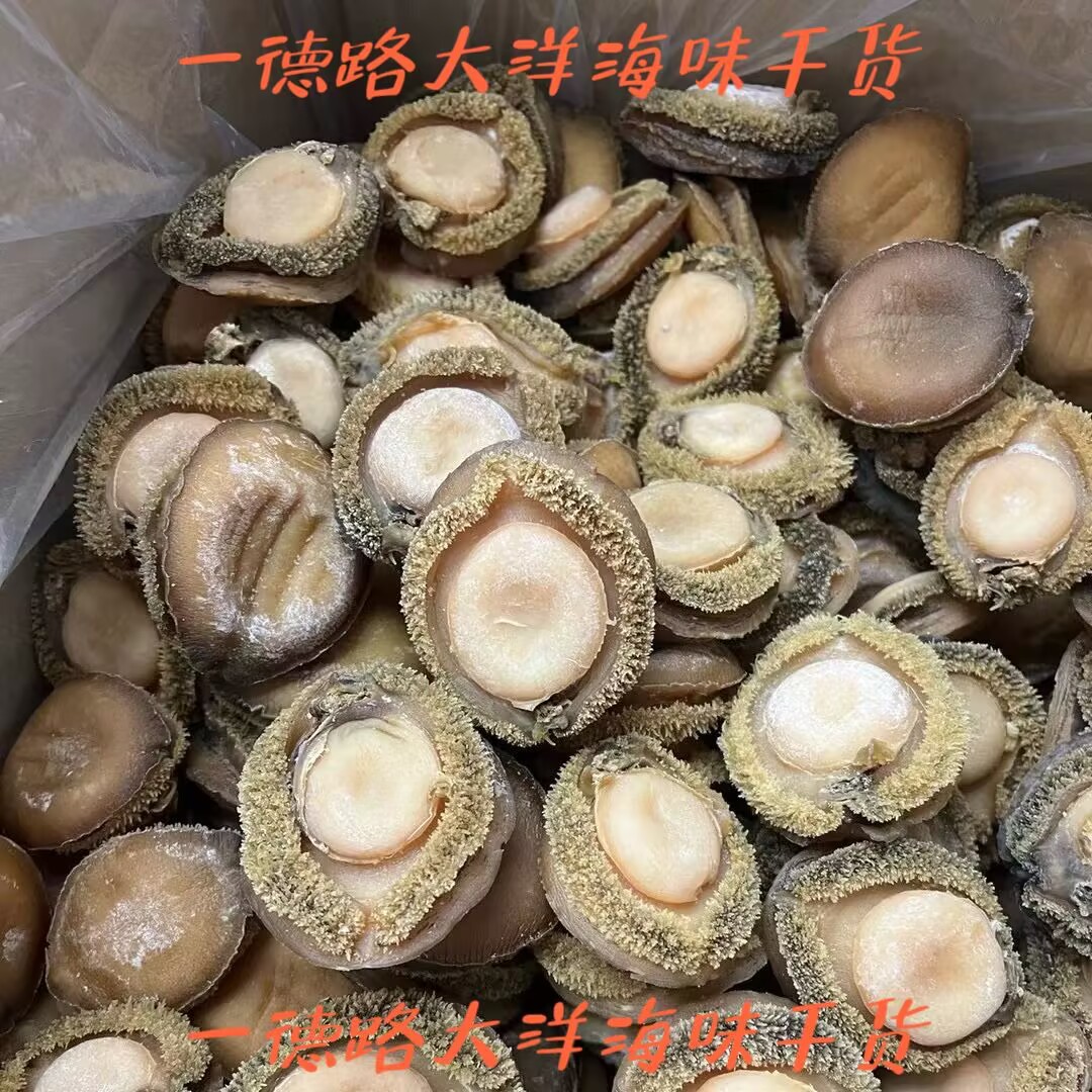 5b8aa338617869447b7e932600333c