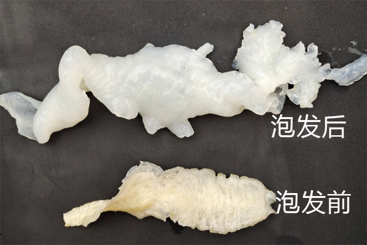 一条胶41.jpg