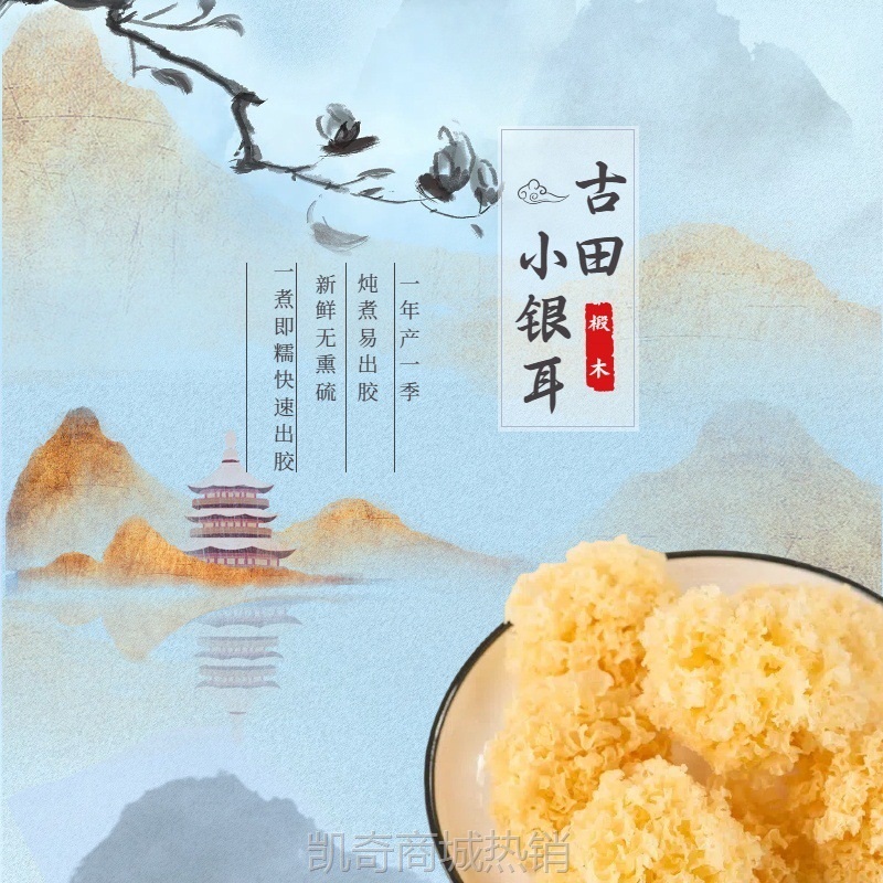 古田直供无硫椴木小银耳干货净重包邮易出胶新货小银耳雪耳批发