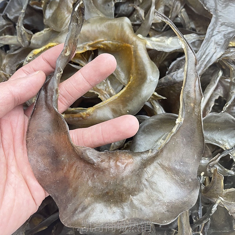 海味干货 清水甲鱼裙边 水鱼裙边 甲鱼边龟板胶干货批发500g