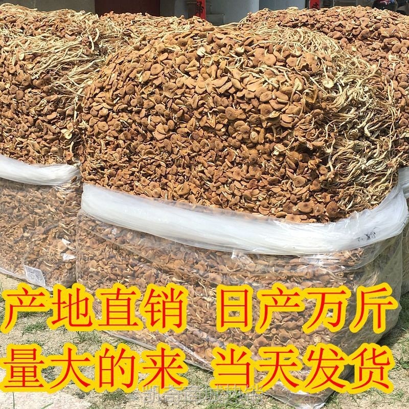 产地直销茶树菇干货古田特产食用菌酒店用品茶树菇
