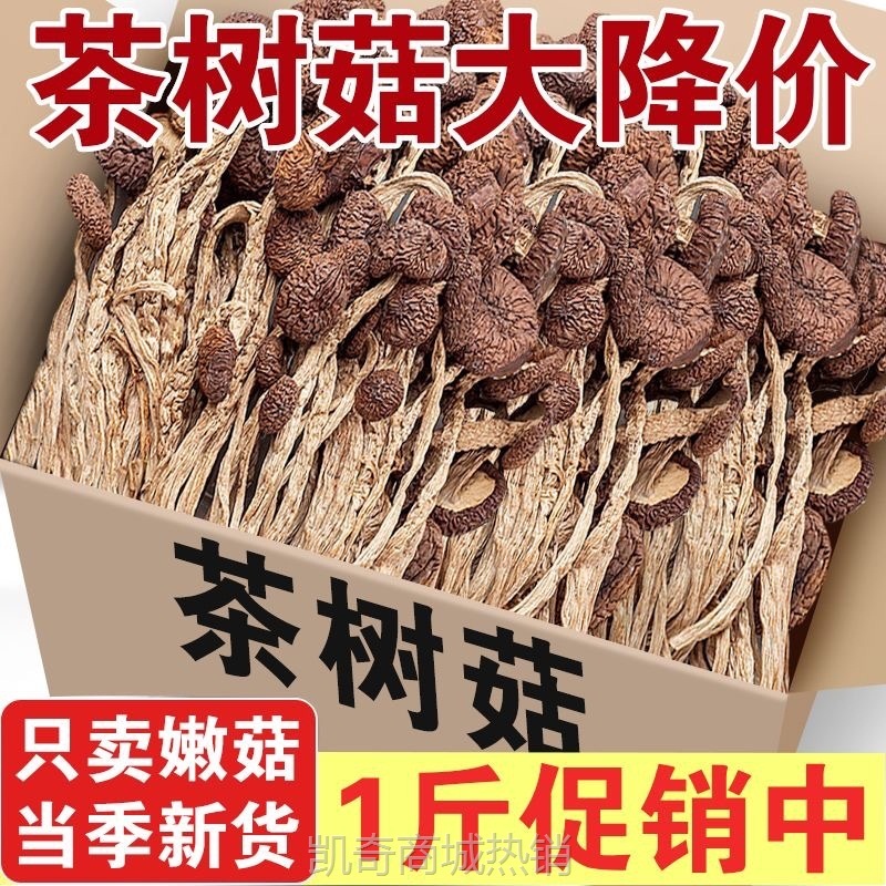 新货茶树菇干货古田不开伞茶树菇香菇煲汤食材食用菌干货批发包邮