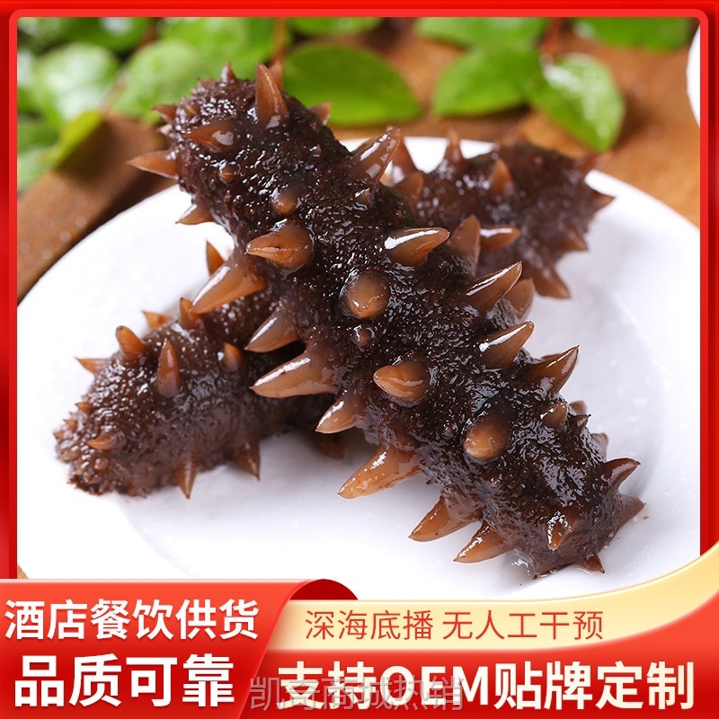 大连冷冻刺参即食海参鲜活辽刺参可代发真空包装开袋即食海参包邮