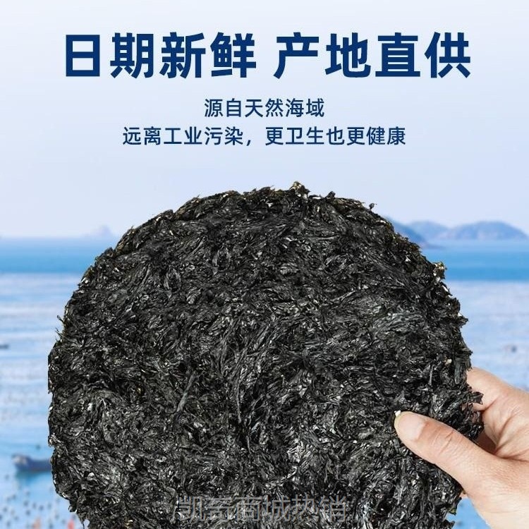 福建霞浦紫菜干货批发商用货免洗无沙干坛紫菜无料包即食圆饼头水