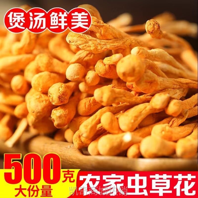 虫草花干货无硫北金蛹虫草新货日晒虫草花煲汤批发价