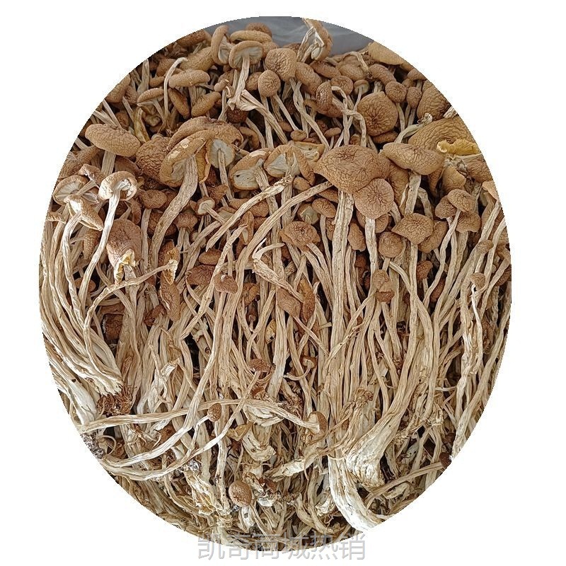 产地直销茶树菇干货古田特产食用菌酒店用品茶树菇