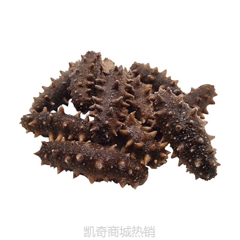 厂家大连即食海参辽刺参礼盒 大连鲜食海参 海参即食海参批发