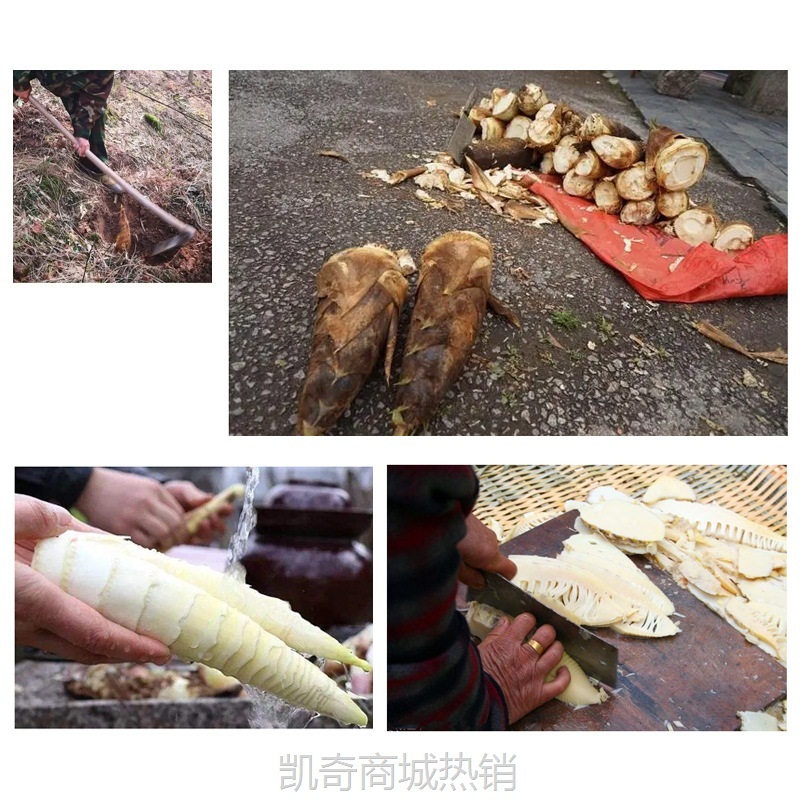 江西农家自制春笋干笋干嫩笋干笋尖干货野生竹笋干无硫散装500g