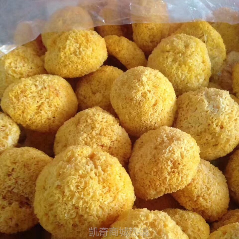 食用菌干货丑耳 古田银耳500g银耳羹白木耳出胶软糯丑耳福建厂家