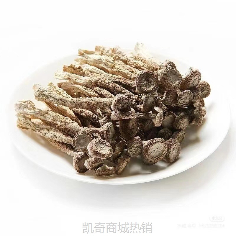 鹿茸菇干货四川特产野生菌类煲汤食材蘑菇厂家批发代发香菇菌菇