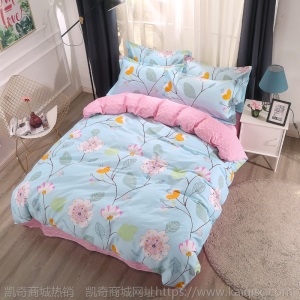 家纺纯棉四件套 纯棉床品床单 床上用品 被套4件套 纯棉套件