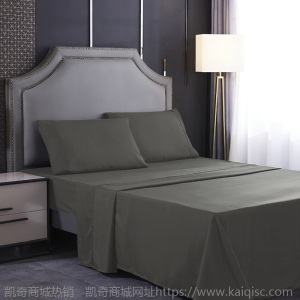 凯奇家纺凯奇ebay床单床笠夹凯奇四件套bed sheet枕套一件代发