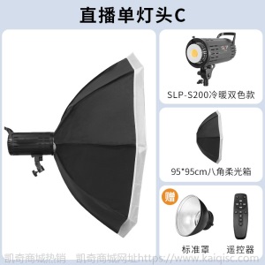 摄力派S200摄影补光灯直播间常亮灯led遥控可调色拍摄影棚打光灯