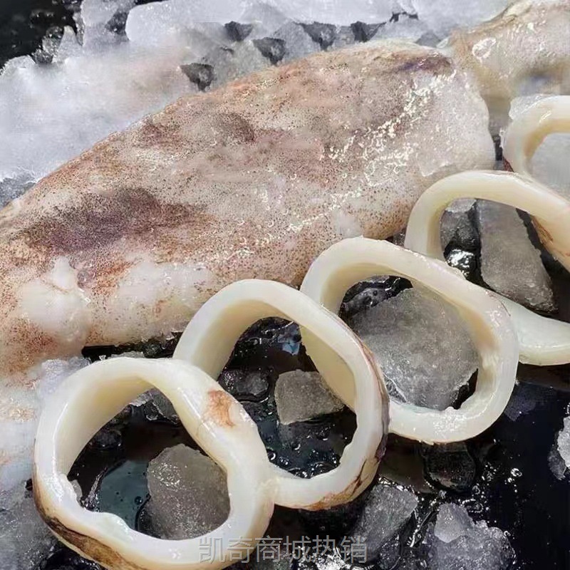 鱿鱼圈现切筒新鲜冷冻海鲜烧烤活体速冻预制菜火锅半成品工厂
