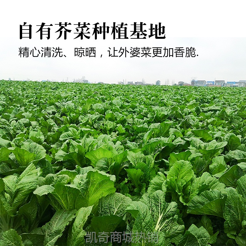 聪厨湘西外婆菜湖南特产袋装下饭菜酱腌菜预制菜