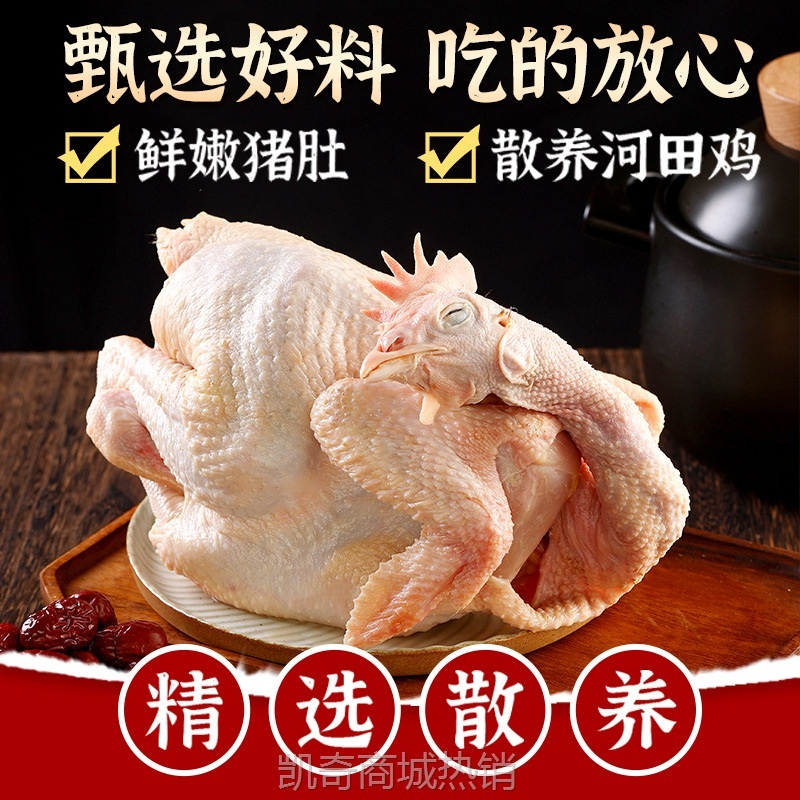 广东胡椒猪肚鸡加热即食半成品肚包鸡汤预制菜家用年夜饭