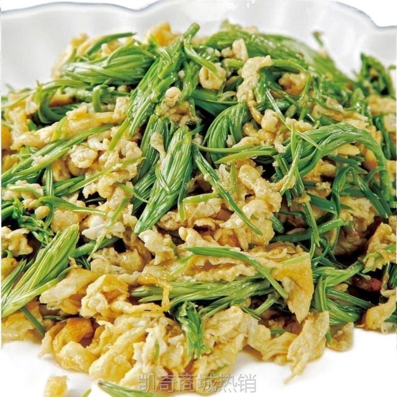 【♥凯奇美食供应链♥】高山沙松尖酒店饭店餐饮特色菜半成品凉菜素菜食材餐厅私房菜野菜
