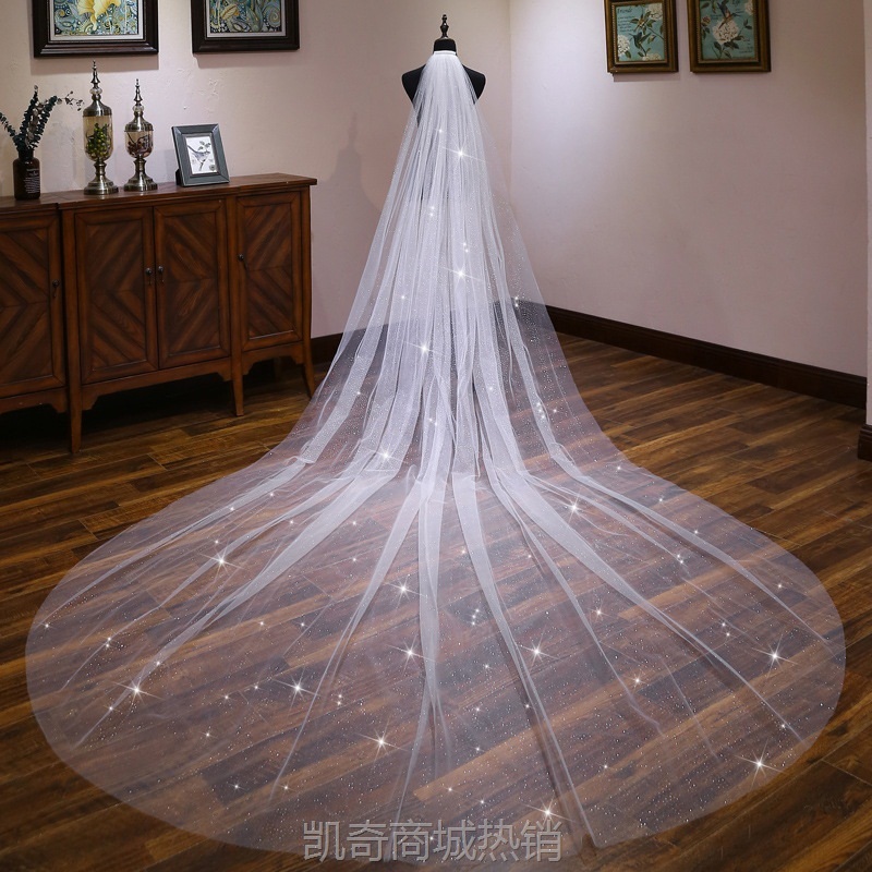 新款新娘结婚婚纱礼服头纱 抖音时尚喷金闪亮3米宽超长拖尾头纱