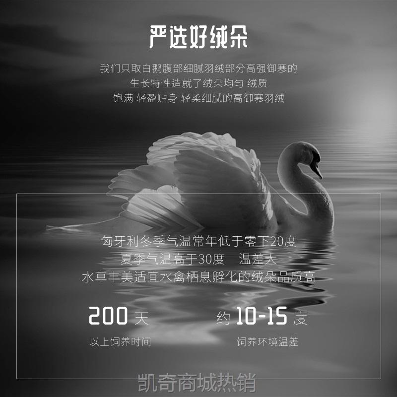 匈牙利进口95白鹅绒被羽绒被鸭绒被子被芯春秋被双人加厚保暖冬被