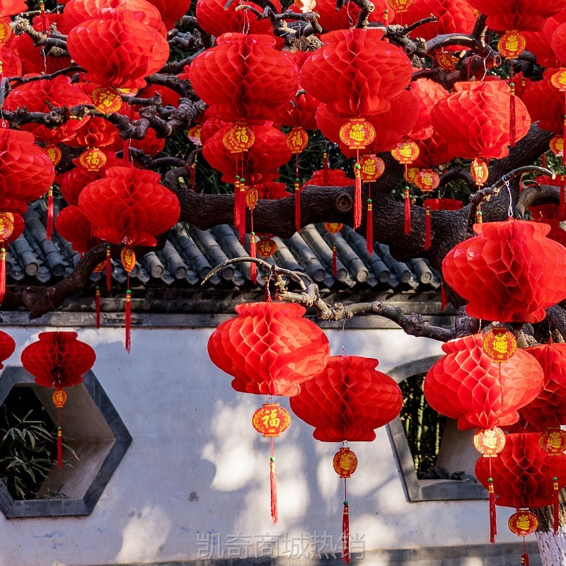 2025年新款蛇年小灯笼挂饰户外大红纸蜂窝球布置国庆中秋门口装饰
