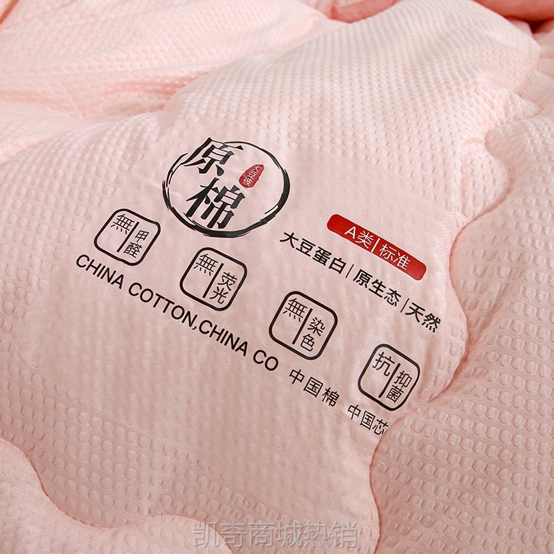 原棉泡泡纱大豆被原棉春秋被冬被加厚保暖棉被单双人宿舍被褥