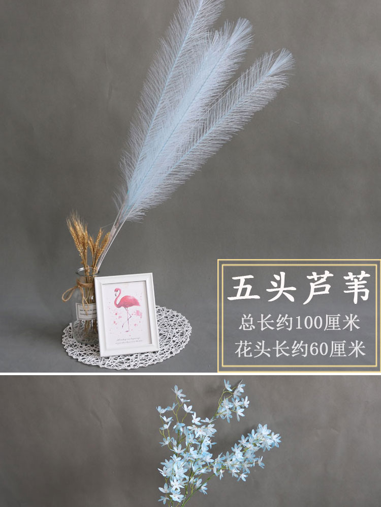 蓝色系花材详情_16.jpg