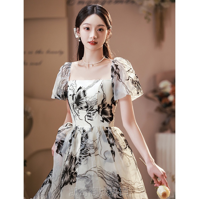 宴会晚礼服裙女2024秋高级国风泡泡袖公主连衣裙艺考礼服厂家货源