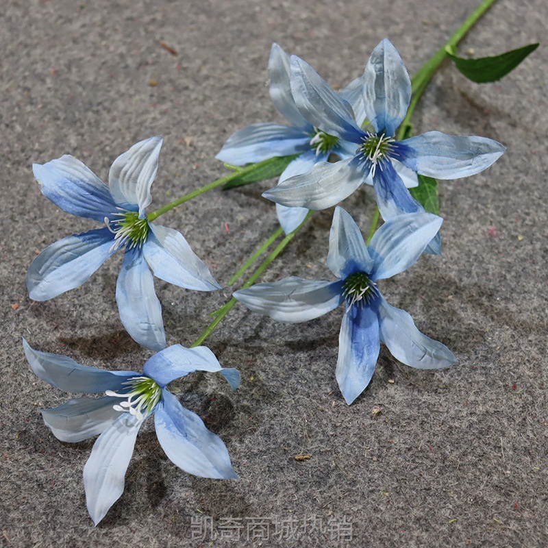 新仿真嘉兰火焰兰婚礼装饰绢花客厅餐桌花插花花艺玫红摆件装饰花