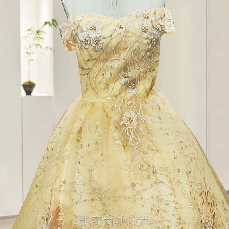 金色合唱礼服2024夏季演出蓬蓬彩色婚纱艺考独唱女学生简约演出服