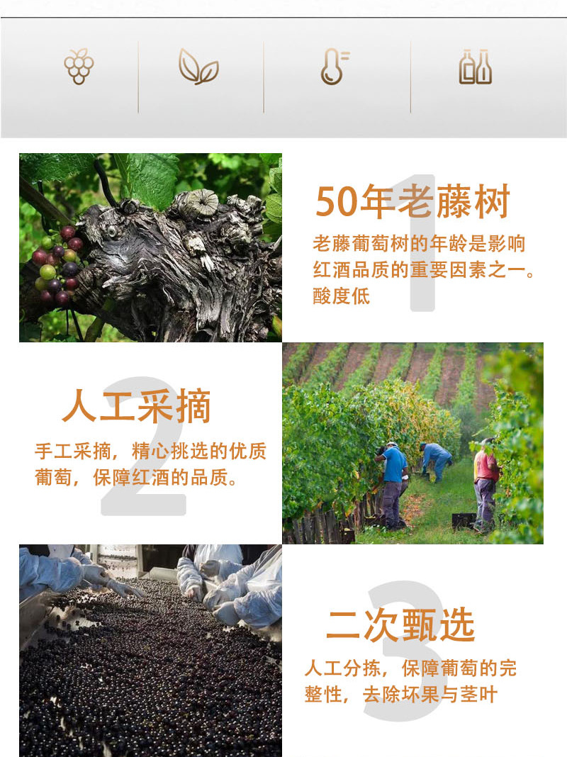 详情页_13.jpg