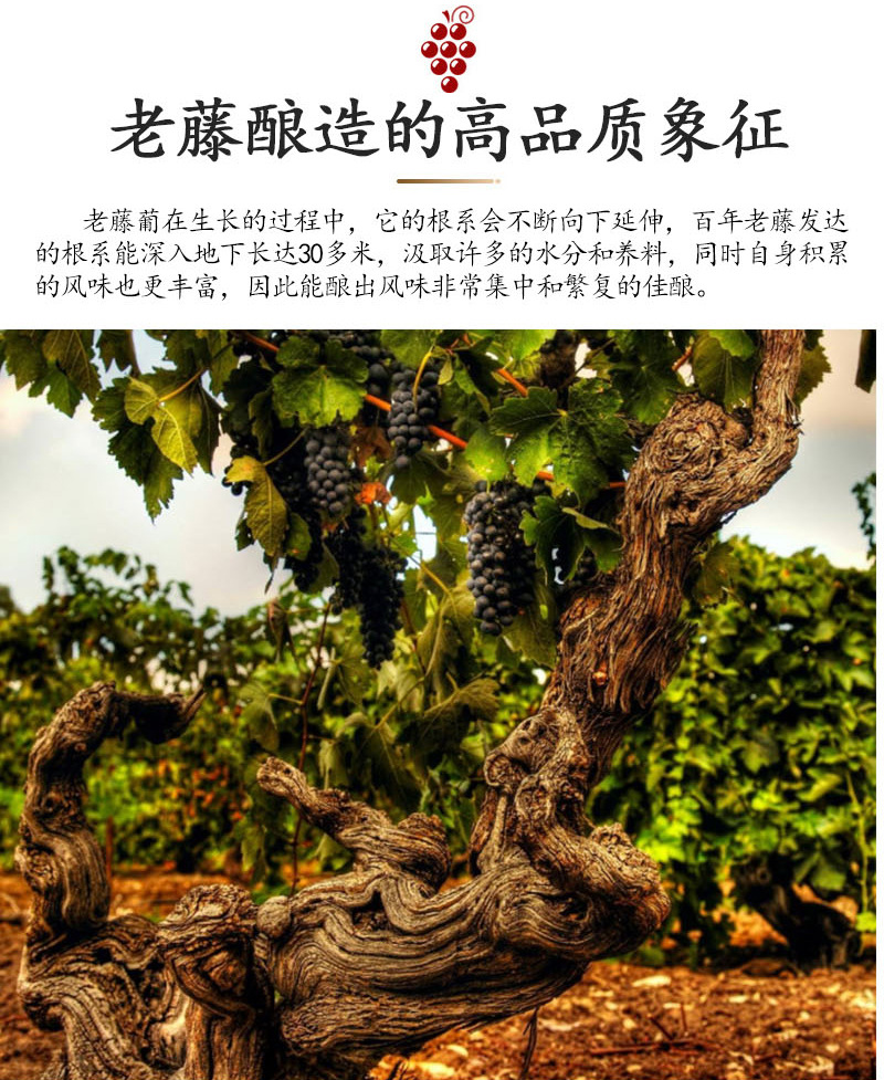详情页_11.jpg