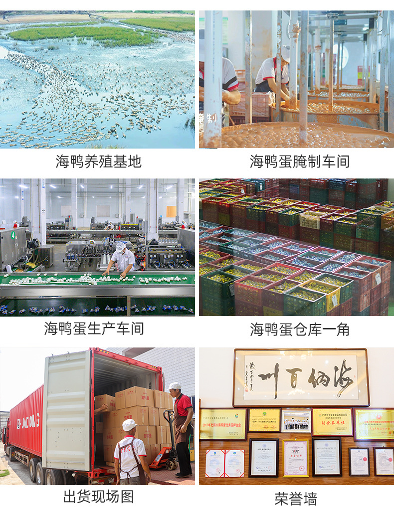 1688厂家介绍_02.jpg