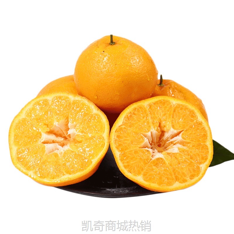 四川春见耙耙柑一件代发丑橘粑粑柑橘子非丑橘新鲜水果批发代发