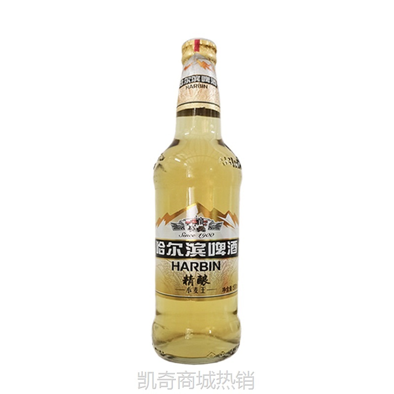 【♥首购1元♥】【新疆不发】 哈尔滨小麦王啤酒500ml*12瓶整箱 江浙沪皖包邮