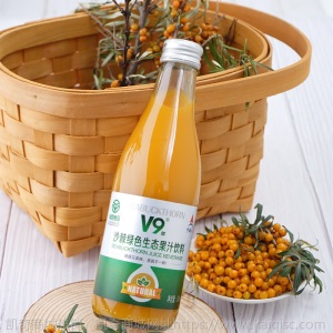 宇航人 沙棘绿色生态沙棘果汁饮料内蒙古特产 300ml*6瓶装