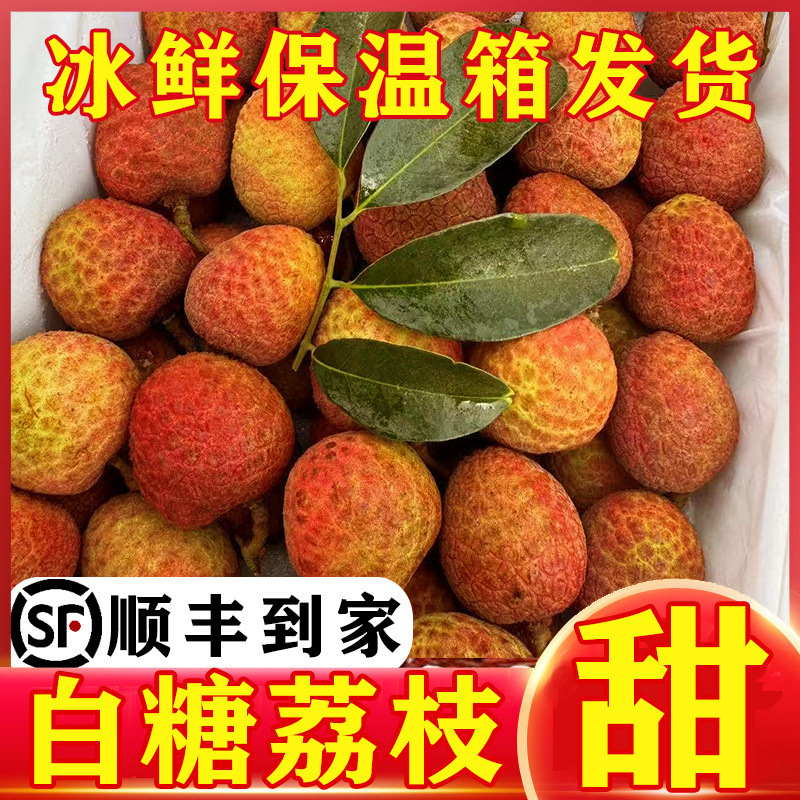 812610bf-6685-41ae-9bc1-42165e278ba0.jpe