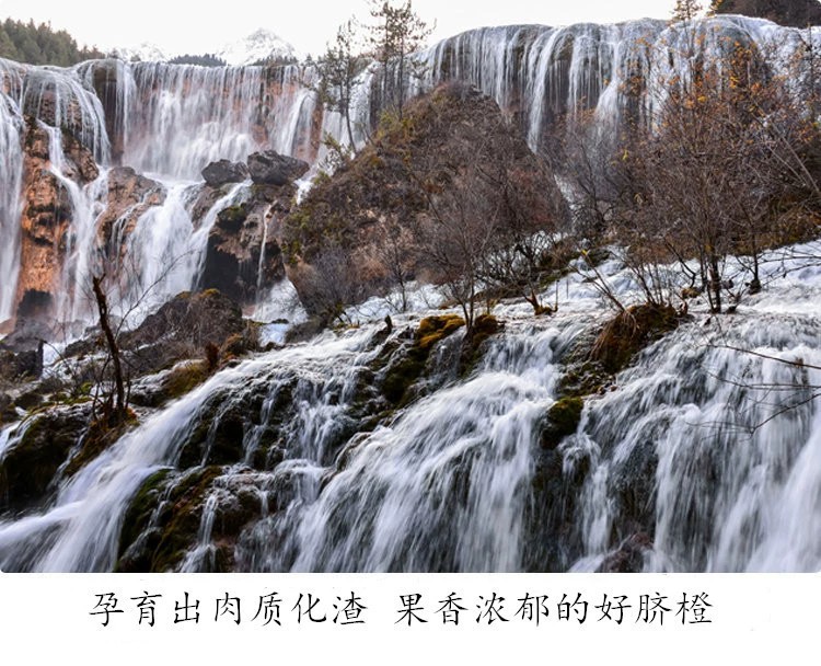 详情页11.jpg