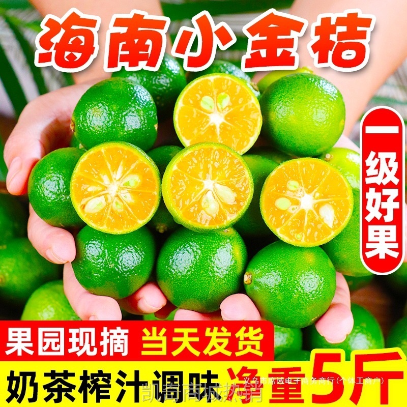 海南小金桔10斤新鲜水果当应季青金桔柠檬百香整箱包邮小青柠青桔