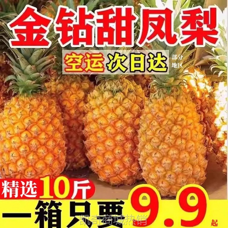 金钻凤梨斤精选树上熟当季热带新鲜水果非菠萝手撕云南整箱
