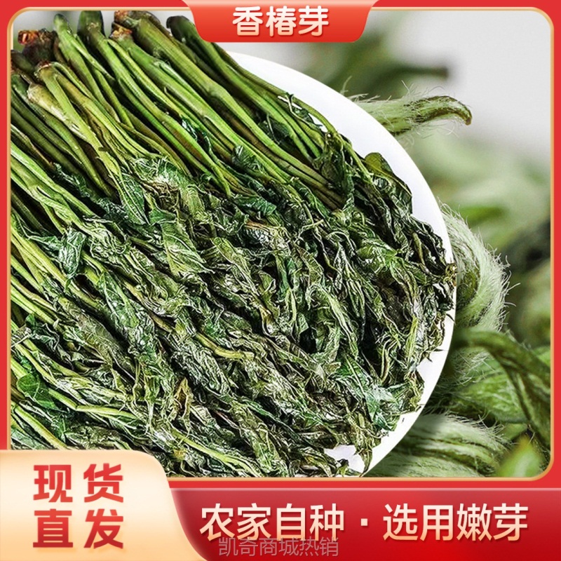 当季新货香椿嫩芽 鲜嫩爽口新鲜盐渍保鲜香椿芽 农产品1斤装代发